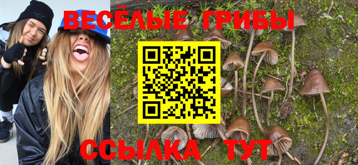 Городец  купить наркотики цена  Вход с VPN  Галлюциногенные грибы Psilocybe 